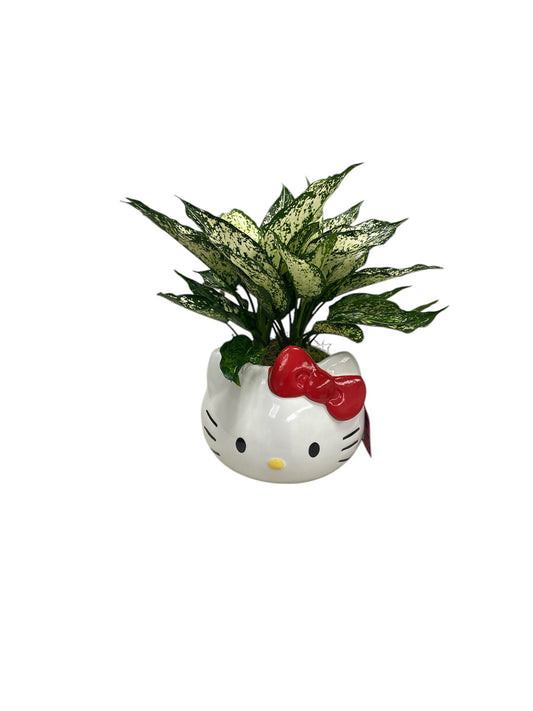 Hello Kitty Planter